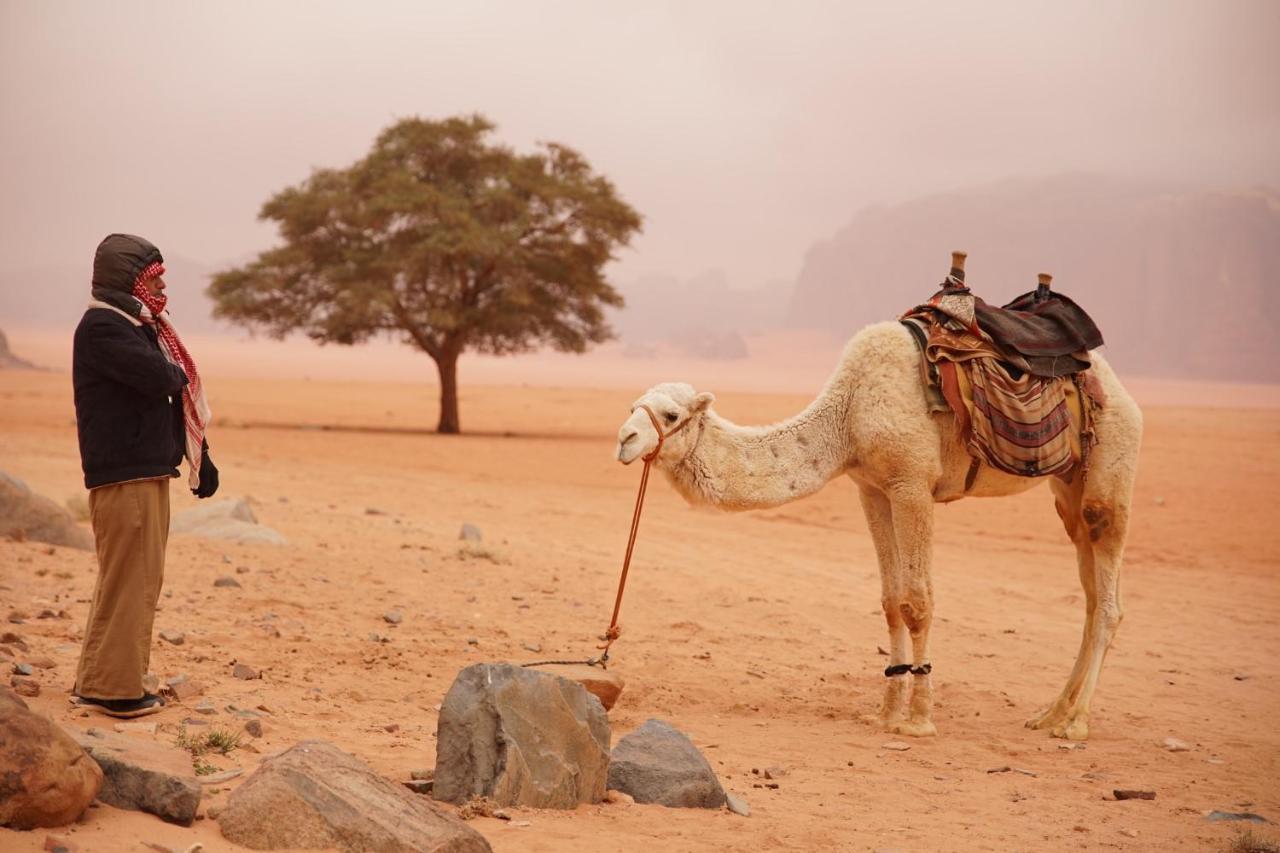 Magic Bedouin Star & Tours Hotel Rum vádi Kültér fotó